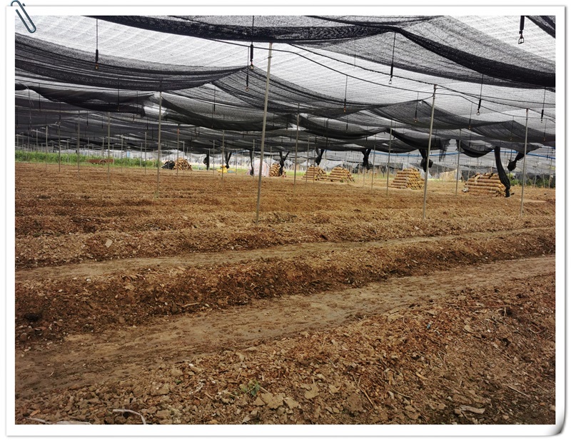 KU酷游·(中国区)官方网站