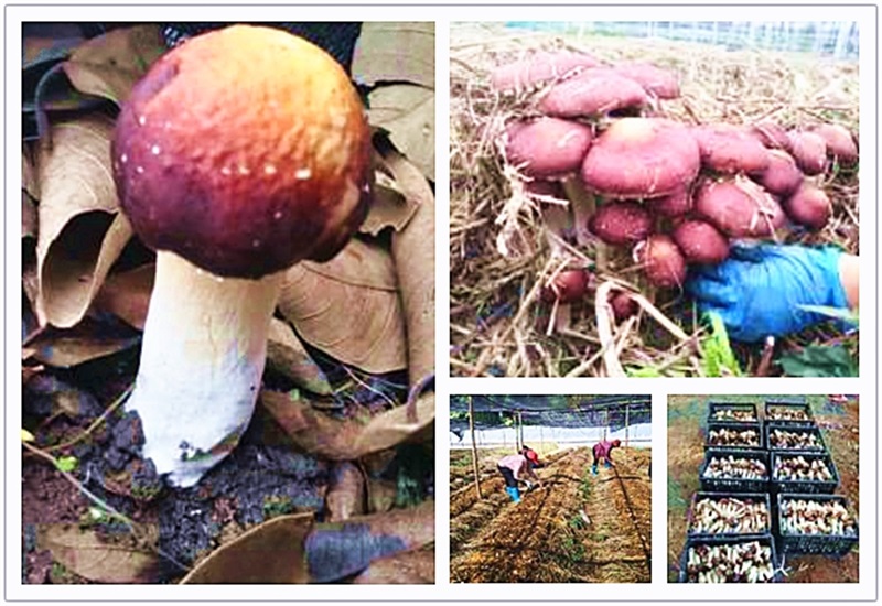 KU酷游·(中国区)官方网站